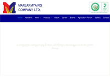 Tablet Screenshot of marlarmyaing.com